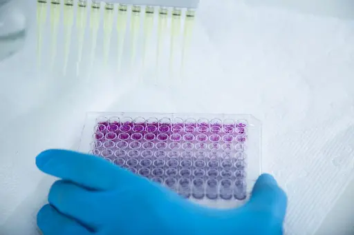 [0197-CBA-5116] Autophagy ELISA Kit [LC3 II Quantitation] 96Т